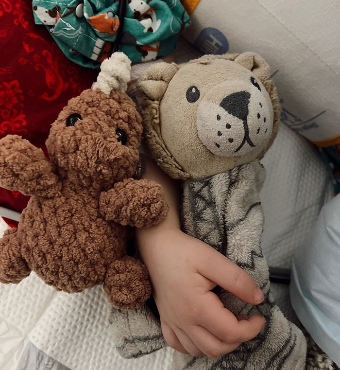Child's hand holding stuffed animals, representing a parenting influencer's son. Child's hand holding stuffed animals, representing a parenting influencer's son.