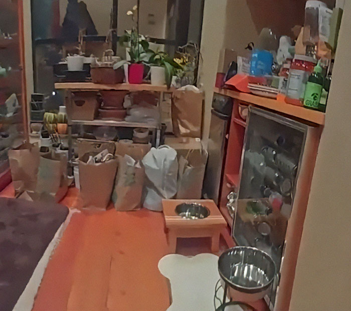 Gene Hackman's dog's bowls in a kitchen area surrounded by groceries and plants. Gene Hackman's dog's bowls in a kitchen area surrounded by groceries and plants.