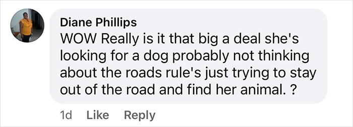 Comment questioning the significance of detaining a Black woman for walking on the wrong side of the road. Comment questioning the significance of detaining a Black woman for walking on the wrong side of the road.