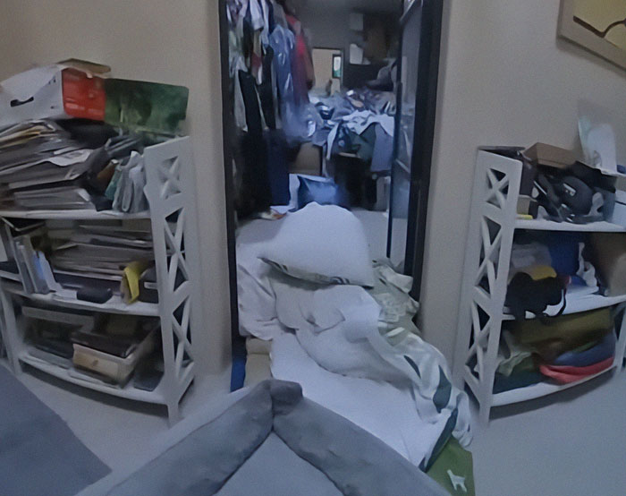 Dog resting in a cluttered room, reportedly watching over couple's belongings in police footage. Dog resting in a cluttered room, reportedly watching over couple's belongings in police footage.