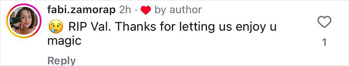 Comment screenshot expressing gratitude and mourning Val Kilmer. Comment screenshot expressing gratitude and mourning Val Kilmer.