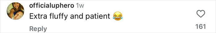 Comment on Instagram stating "Extra fluffy and patient" with laughing emoji, related to Jennifer Garner and animal cruelty discussion. Comment on Instagram stating "Extra fluffy and patient" with laughing emoji, related to Jennifer Garner and animal cruelty discussion.