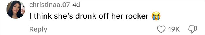 Comment by christinaa.07 saying, “I think she’s drunk off her rocker,” with 19K likes, related to "Karens" and park bench incident. Comment by christinaa.07 saying, “I think she’s drunk off her rocker,” with 19K likes, related to "Karens" and park bench incident.