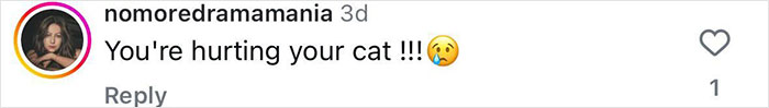 Comment from user expressing concern over alleged animal cruelty involving a cat. Comment from user expressing concern over alleged animal cruelty involving a cat.