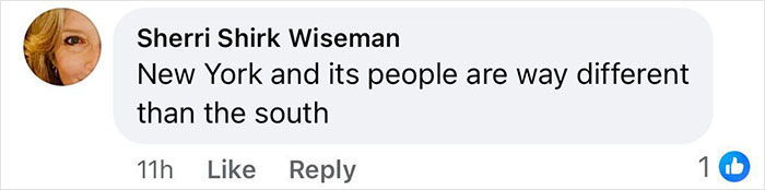 Comment on regional differences between New York and the South, highlighting varied perspectives. Comment on regional differences between New York and the South, highlighting varied perspectives.