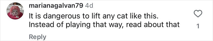 Comment criticizing Jennifer Garner's video with her cat for potential animal cruelty. Comment criticizing Jennifer Garner's video with her cat for potential animal cruelty.