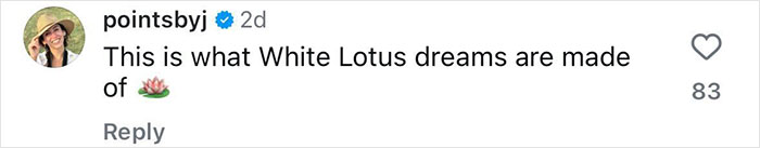 Comment mentioning dreams, featuring a lotus emoji, referencing exotic destinations like Fiji in text. Comment mentioning dreams, featuring a lotus emoji, referencing exotic destinations like Fiji in text.