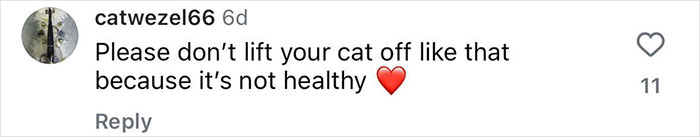 Comment criticizing cat handling with heart emoji. Comment criticizing cat handling with heart emoji.