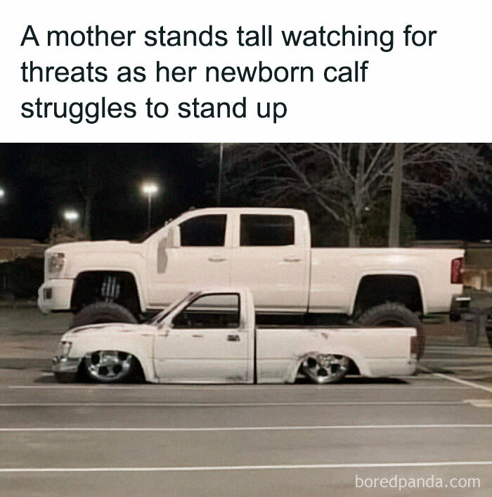 40 Hilarious Memes About Driving, Road Rage, And Car Troubles | Bored Panda