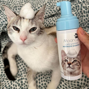 If Your Camera Roll Is 90% Cat Photos, You Need To See These 26 Purrfect Find