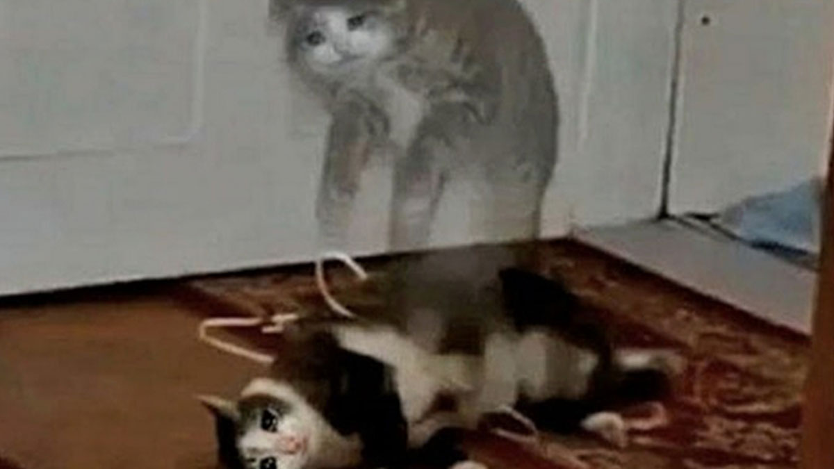 50 Hilarious Memes For People Who Might Have Given Up On Life—But With Humor (New Pics)