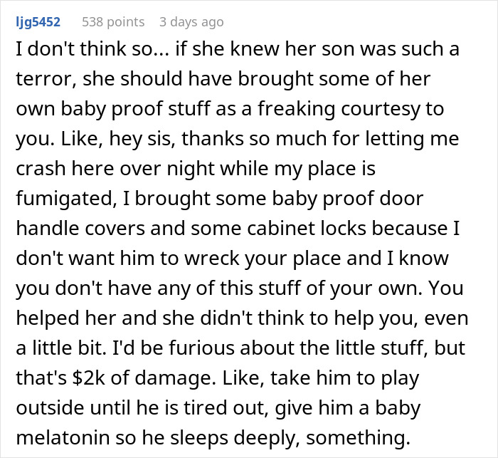 Text in forum discussing damages and family drama after hosting sister and nephew. User expresses frustration over lack of baby-proofing. Text in forum discussing damages and family drama after hosting sister and nephew. User expresses frustration over lack of baby-proofing.