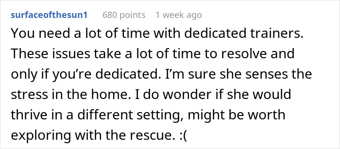 Comment discussing challenges of training an untrainable rescue dog with dedicated trainers. Comment discussing challenges of training an untrainable rescue dog with dedicated trainers.