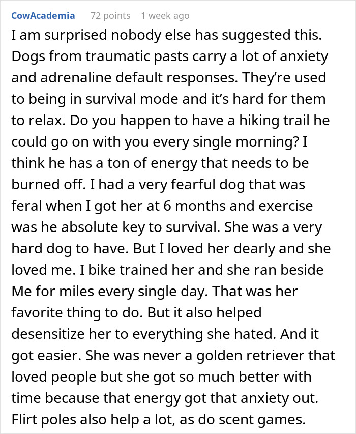 Discussion on training challenges with an anxious rescue dog, highlighting exercise as a crucial solution. Discussion on training challenges with an anxious rescue dog, highlighting exercise as a crucial solution.