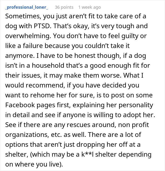 Reddit comment discussing rehoming options for an untrainable rescue dog with PTSD. Reddit comment discussing rehoming options for an untrainable rescue dog with PTSD.