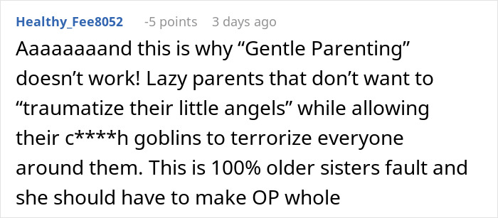 Online comment criticizing parenting after $2,000 damages and family drama involving sister and nephew. Online comment criticizing parenting after $2,000 damages and family drama involving sister and nephew.