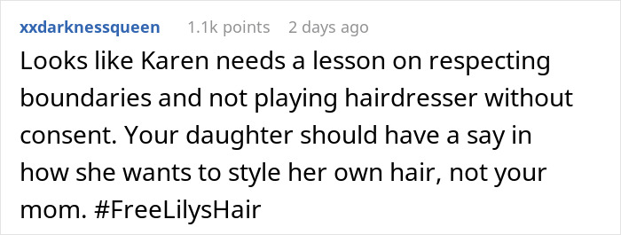 Comment about respecting boundaries regarding a child’s haircut without consent, referencing #FreeLilysHair. Comment about respecting boundaries regarding a child’s haircut without consent, referencing #FreeLilysHair.