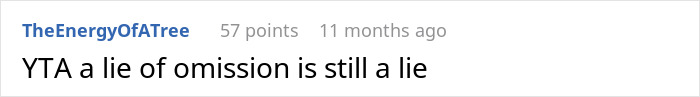 Reddit comment reads, "YTA a lie of omission is still a lie," discussing landlord honesty. Reddit comment reads, "YTA a lie of omission is still a lie," discussing landlord honesty.