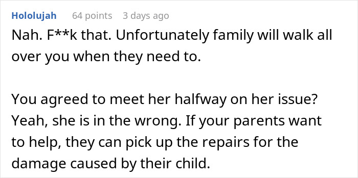 Reddit comment discussing family drama and damages after hosting sister and nephew. Reddit comment discussing family drama and damages after hosting sister and nephew.