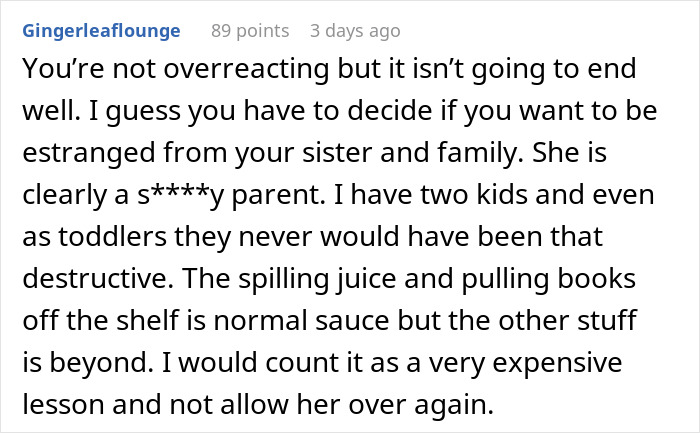 Text comment about hosting sister and nephew leading to family drama and $2,000 damages. Text comment about hosting sister and nephew leading to family drama and $2,000 damages.