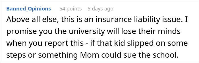 Text comment discussing university liability and potential lawsuit if a child is injured. Text comment discussing university liability and potential lawsuit if a child is injured.