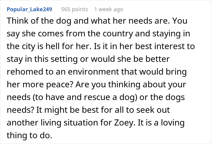 Discussion on rescue dog needs and couple's dilemma. Discussion on rescue dog needs and couple's dilemma.