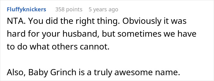 Screenshot of a comment supporting a woman for ending her dying dog's suffering despite husband's feelings. Screenshot of a comment supporting a woman for ending her dying dog's suffering despite husband's feelings.