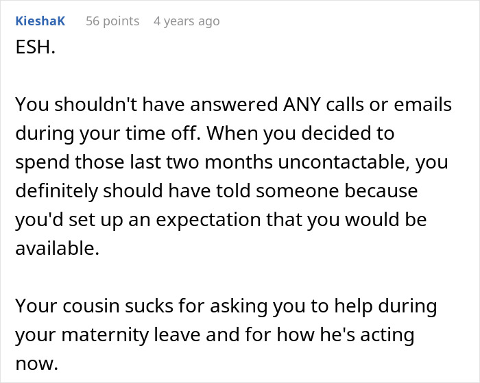 Online comment discussing maternity leave and work expectations. Online comment discussing maternity leave and work expectations.