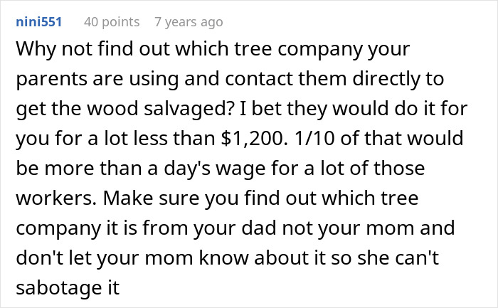 Sad daughter sitting alone near a tree house, reflecting on childhood memories with a somber expression outdoors. Sad daughter sitting alone near a tree house, reflecting on childhood memories with a somber expression outdoors.