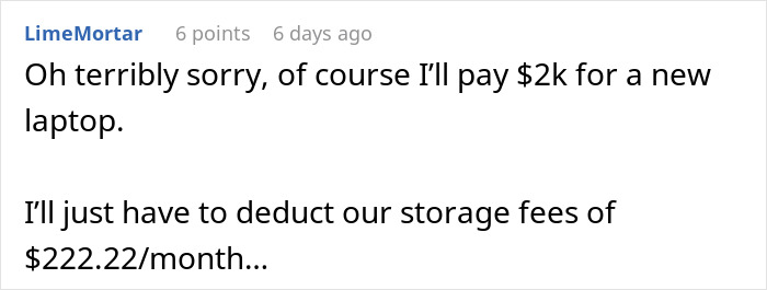 Text comment discussing storage fees for a laptop, with a sarcastic tone. Text comment discussing storage fees for a laptop, with a sarcastic tone.