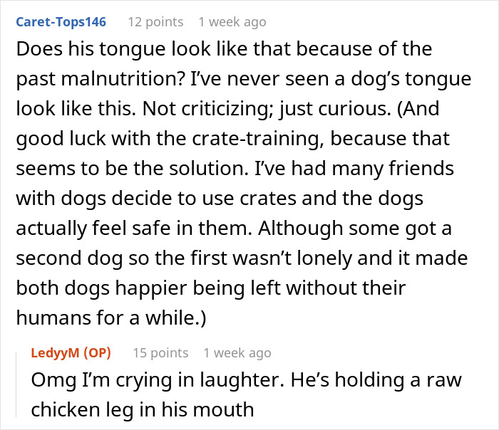 Conversation about adopted dog's behavior, mentioning tongue appearance and crate-training advice. Conversation about adopted dog's behavior, mentioning tongue appearance and crate-training advice.