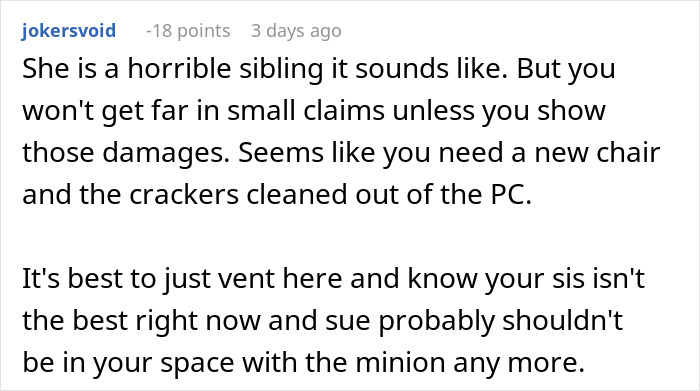 Reddit comment on drama and $2,000 damages from sister and nephew visit. Reddit comment on drama and $2,000 damages from sister and nephew visit.