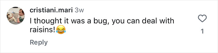 Comment on whether Costco carrot cake should contain hidden raisins. Comment on whether Costco carrot cake should contain hidden raisins.