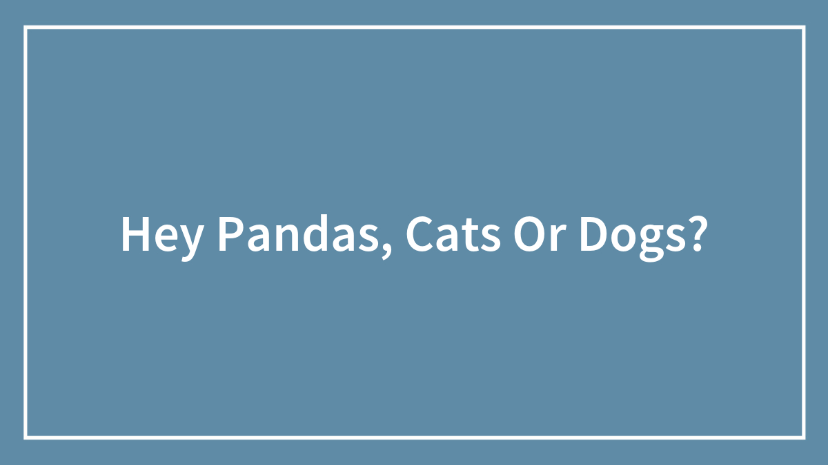 Hey Pandas, Cats Or Dogs?