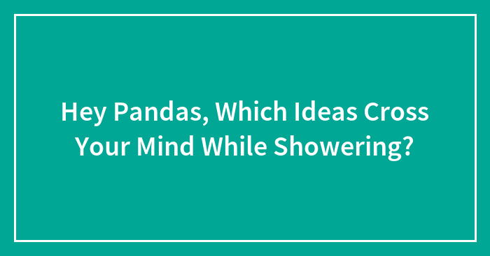 Hey Pandas, Which Ideas Cross Your Mind While Showering? (Closed)