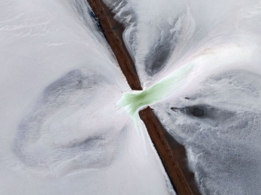 Licc 2024 Winners Announced