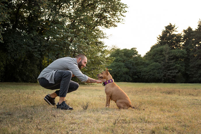 Man kneeling and interacting with a rescue dog in a park. Man kneeling and interacting with a rescue dog in a park.
