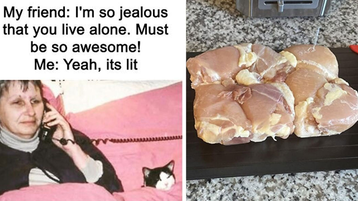 These 24 Items Turn Single Living From Scary To Actually Amazing