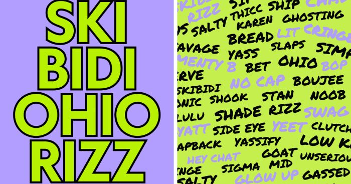 I Made This Funny Workbook-Style Book Called Skibidi Ohio Rizz