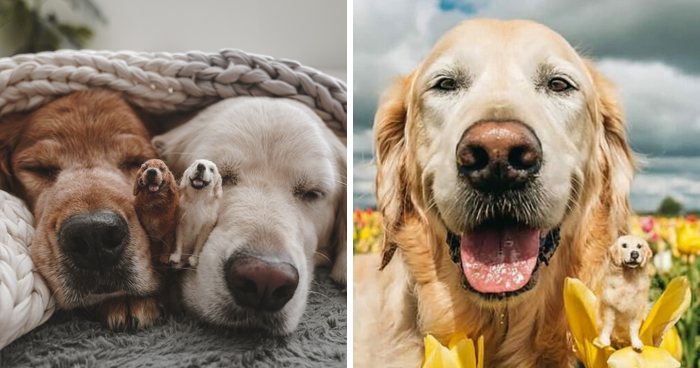 35 Adorable Mini Pets Made Of Felt By This Talented Artist