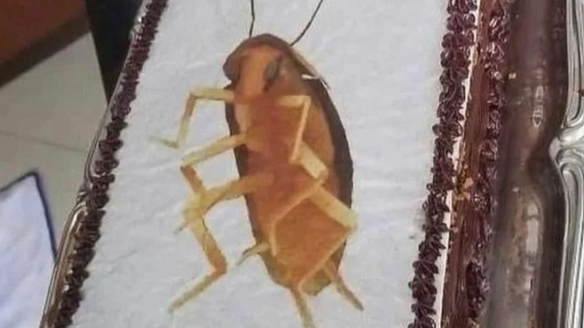 “I Want To Leave Ok” Is Pretty Much The Weirdest Instagram Account, Here Are 50 Pics To Prove It (New Pics)