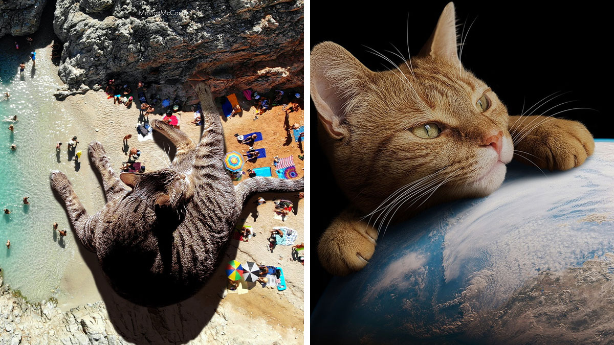 Artist Imagines Surreal Parallel Universe Where Giant Cats Reign, And Here Are 30 New Pieces