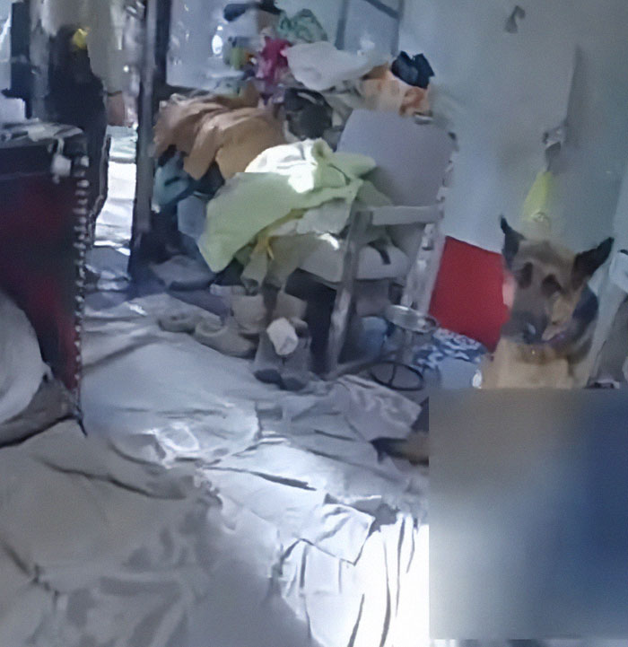 Police footage shows a dog watching over a cluttered room, emphasizing the scene's somber tone. Police footage shows a dog watching over a cluttered room, emphasizing the scene's somber tone.