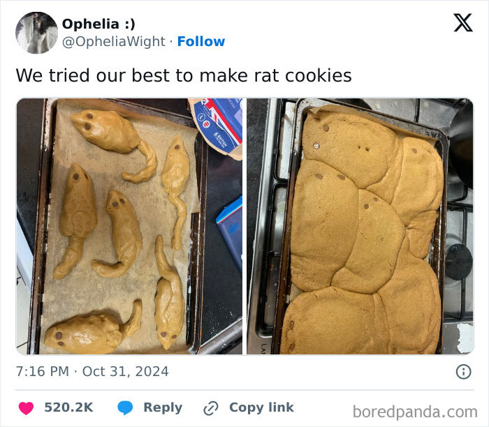 Failed attempt at rat-shaped cookies, showing raw dough and baked results on trays.