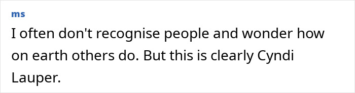 Chat comment discussing Cyndi Lauper's recognizable appearance.