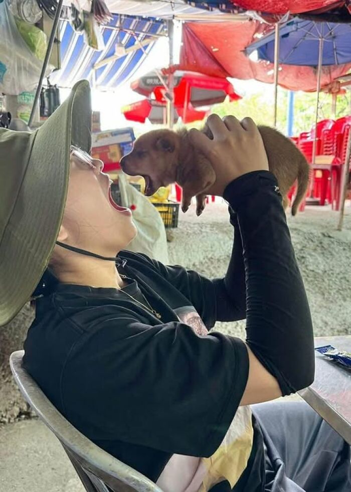 Person holding a yawning puppy, both with mouths open, in a market setting. Hilarious animal moment captured.