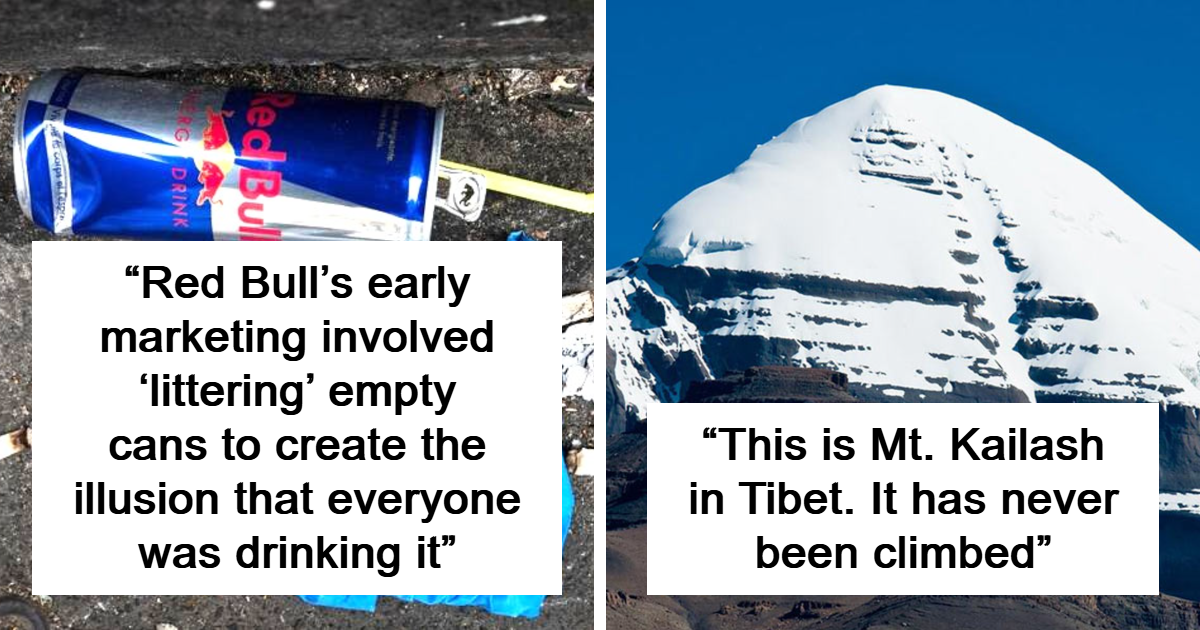 50 Fascinating Posts And Stories For The Curious Among Us | Bored Panda