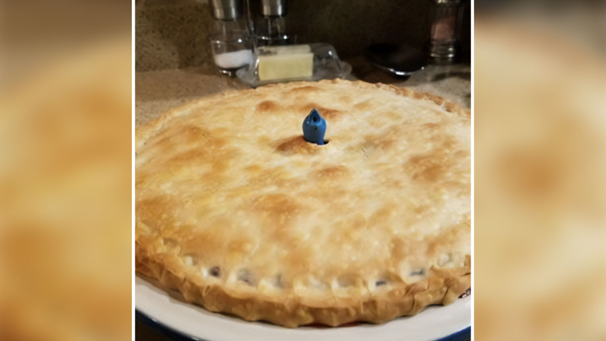 These 25 Finds Exist Purely To Make Everything Less Annoying