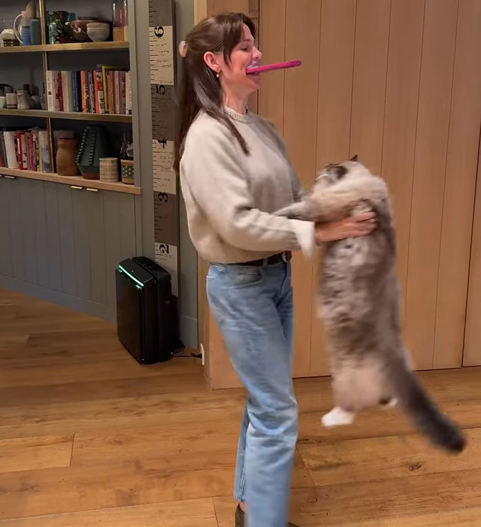 Person holding a large cat in a cozy room while wearing casual attire, related to animal cruelty controversy. Person holding a large cat in a cozy room while wearing casual attire, related to animal cruelty controversy.