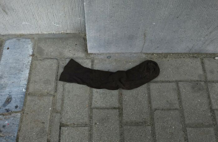 A single black sock on a gray sidewalk, illustrating a humorous insult skillfully delivered.